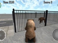 Cкриншот Bear Simulator 3D Madness, изображение № 1695003 - RAWG