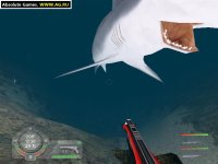 Cкриншот Shark! Hunting the Great White, изображение № 304724 - RAWG