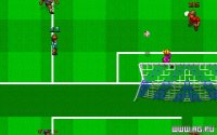 Cкриншот Empire Soccer '94, изображение № 344845 - RAWG