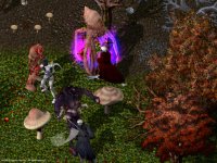 Cкриншот Ultima Online: Age of Shadows, изображение № 347316 - RAWG