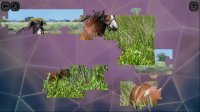 Cкриншот Puzzles for smart: Horses, изображение № 1703052 - RAWG