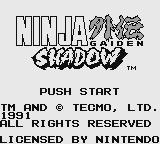Cкриншот Ninja Gaiden Shadow, изображение № 751708 - RAWG