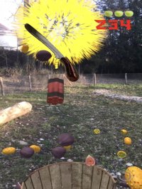 Cкриншот Fruit Warrior AR, изображение № 2188238 - RAWG