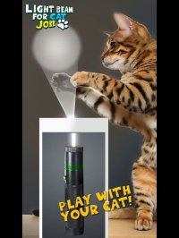 Cкриншот Light Beam For Cat Joke, изображение № 903152 - RAWG