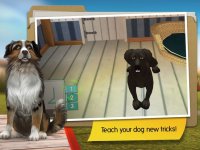 Cкриншот DogHotel: My Dog Boarding Kennel, изображение № 870187 - RAWG