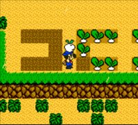 Cкриншот Harvest Moon 3 GBC (2000), изображение № 806556 - RAWG