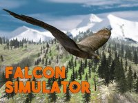 Cкриншот Wild Falcon Survival Simulator 3D, изображение № 1625887 - RAWG