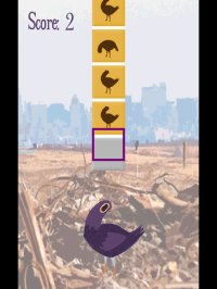 Cкриншот Trash Doves - A Bird Sticker Game, изображение № 1602173 - RAWG