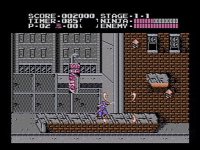 Cкриншот Ninja Gaiden (1988), изображение № 259454 - RAWG
