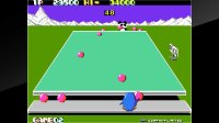 Cкриншот Arcade Archives Penguin-Kun Wars, изображение № 2267939 - RAWG