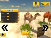 Cкриншот Desert King Camel Race, изображение № 1989845 - RAWG