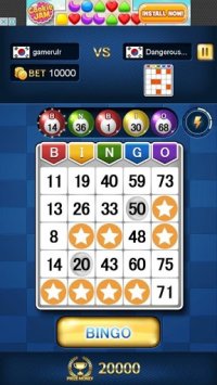 Cкриншот Bingo Master King, изображение № 2092546 - RAWG