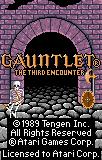Cкриншот Gauntlet: The Third Encounter, изображение № 750857 - RAWG