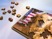 Cкриншот Super Jigsaws Dogs, изображение № 1330787 - RAWG