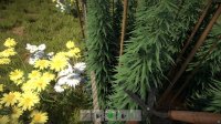 Cкриншот Weed Farmer Simulator, изображение № 2339625 - RAWG