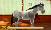 Cкриншот My Riding Stables 3D - Jumping for the Team, изображение № 243852 - RAWG