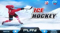 Cкриншот Ice Hockey 3D, изображение № 1441581 - RAWG