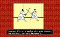 Cкриншот Sword of the Samurai, изображение № 224395 - RAWG