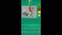 Cкриншот Animalia - The Quiz Game, изображение № 661146 - RAWG