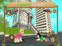 Cкриншот Cat Sim Online: Play With Cats, изображение № 921756 - RAWG