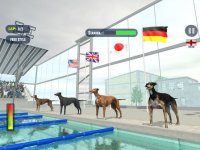 Cкриншот Dog Swimming Race, изображение № 1780103 - RAWG