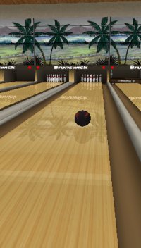 Cкриншот Brunswick Pro Bowling, изображение № 550697 - RAWG