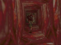 Cкриншот Tomb Raider, изображение № 320454 - RAWG