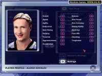 Cкриншот NHL 2002, изображение № 309260 - RAWG