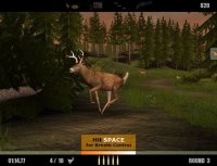 Cкриншот Deer Drive, изображение № 453406 - RAWG