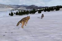 Cкриншот WolfQuest (itch), изображение № 990579 - RAWG