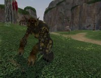 Cкриншот EverQuest II: Echoes of Faydwer, изображение № 454323 - RAWG