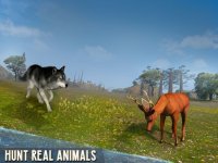 Cкриншот Scary Wolf Online, изображение № 2037295 - RAWG