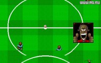 Cкриншот Empire Soccer '94, изображение № 344848 - RAWG