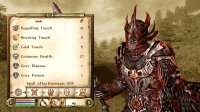 Cкриншот The Elder Scrolls IV: Oblivion, изображение № 699274 - RAWG