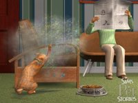 Cкриншот Sims: Истории о питомцах, The, изображение № 471797 - RAWG