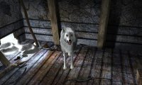 Cкриншот Нэнси Дрю. Белый волк Ледяного ущелья, изображение № 98055 - RAWG