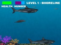 Cкриншот Harbor Seal: The Game, изображение № 2450960 - RAWG