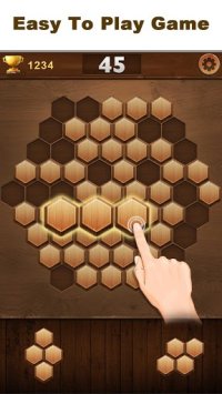 Cкриншот Wood Block Hexagon, изображение № 1368750 - RAWG