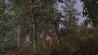 Cкриншот Pro Deer Hunting, изображение № 2280373 - RAWG