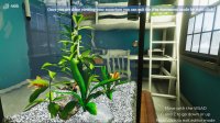 Cкриншот Aquarist - My First Job, изображение № 3025395 - RAWG