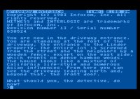 Cкриншот The Witness (1983), изображение № 750660 - RAWG