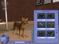 Cкриншот Sims 2: Питомцы, The, изображение № 457871 - RAWG