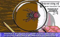 Cкриншот Arachnophobia (1991), изображение № 747368 - RAWG