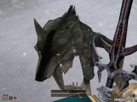 Cкриншот The Elder Scrolls 3: Bloodmoon, изображение № 362010 - RAWG