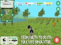 Cкриншот Cow Simulator, изображение № 1705357 - RAWG