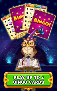 Cкриншот Wizard of Bingo, изображение № 2075820 - RAWG