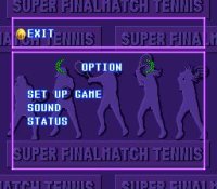 Cкриншот Final Match Tennis, изображение № 765116 - RAWG