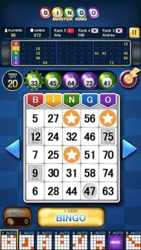 Cкриншот Bingo Master King, изображение № 1578892 - RAWG