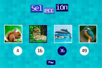 Cкриншот Puzzle Game (raul977), изображение № 1284823 - RAWG