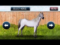 Cкриншот Drive Horse In City Simulator, изображение № 871393 - RAWG